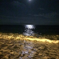 IMG 071